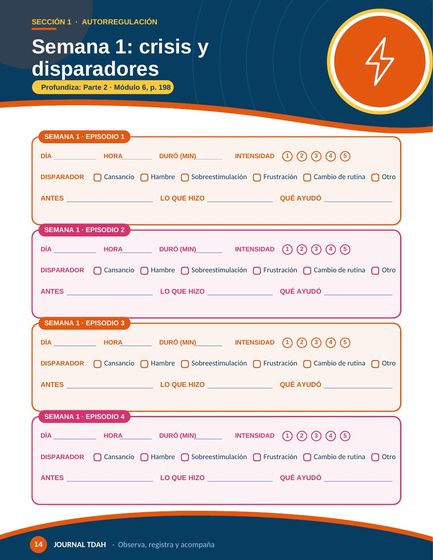 Hoja de registro de crisis y disparadores